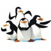 The Penguins of Madagascar 馬達加斯加的企鵝 10DVD