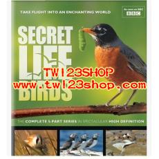  鳥的秘密生活 BBC Secret Life of Birds 全5DVD 中英字幕