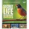 鳥的秘密生活 BBC Secre...