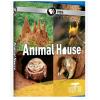 PBS The Animal House 動物之家 動物的房子 高清 1DVD
